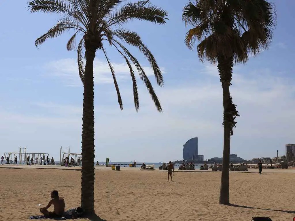 I'm the one who researches and organizes family trips, so i had to learn how to have fun on them. Barcelona Solo Travel Guide