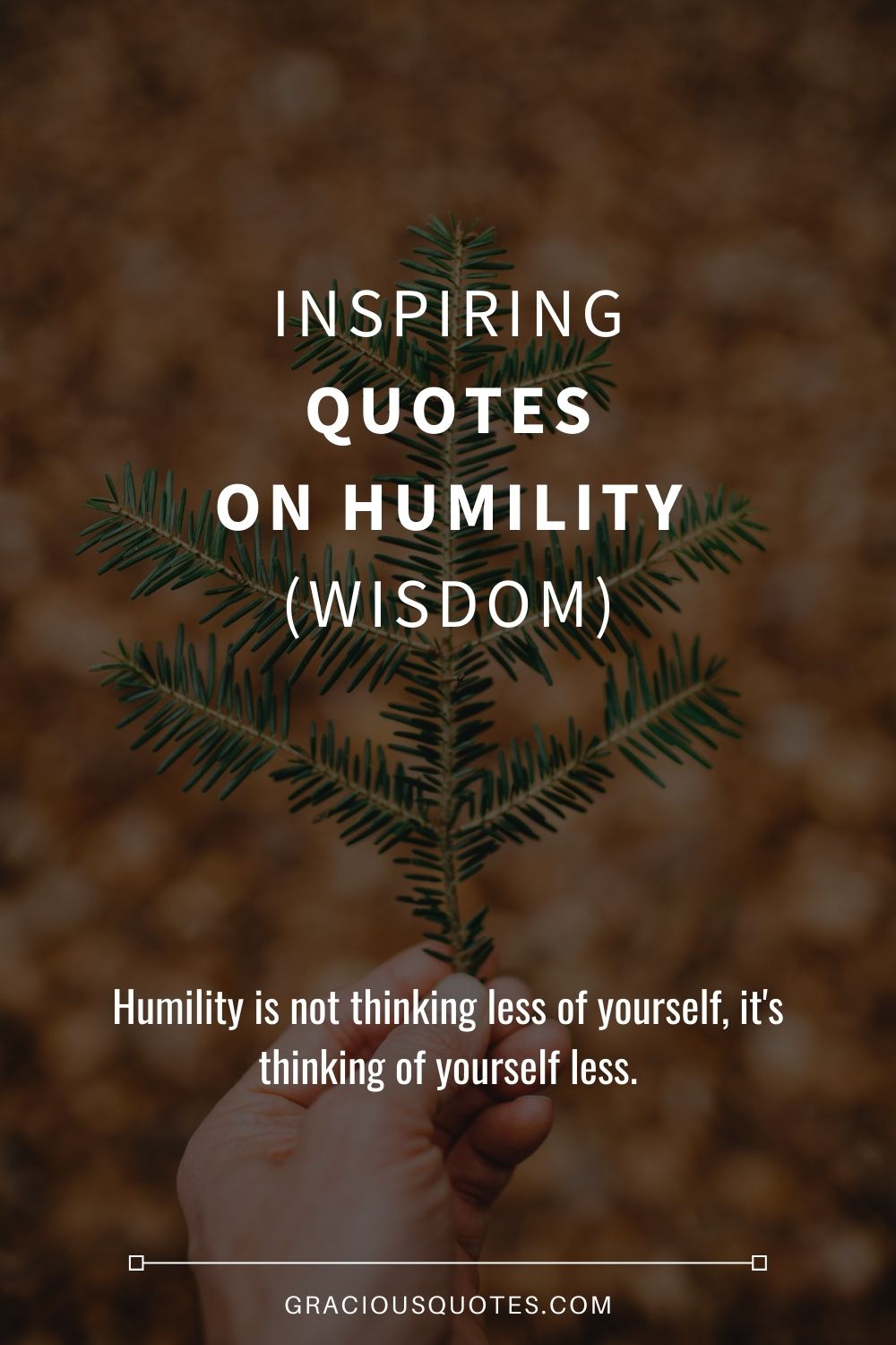 We may earn commission on some of the items you choose to buy. 65 Inspiring Quotes On Humility Wisdom