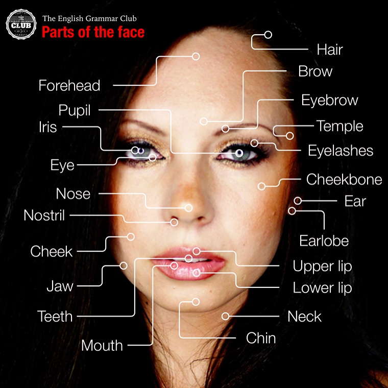 Parts of the face Grammar Tips