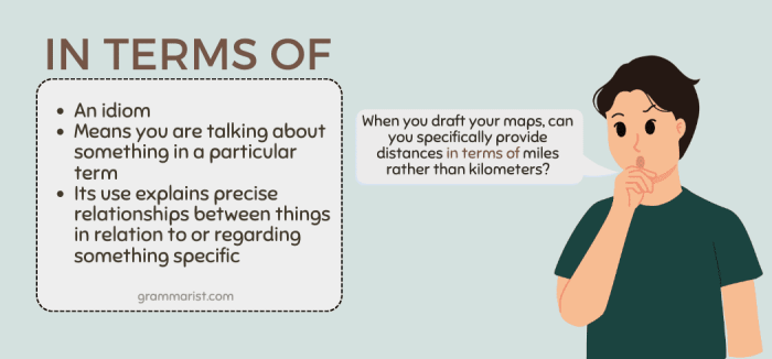 What are term loans and revolvers