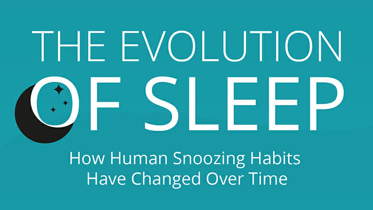 Why and How Much Sleep Do We Need The Evolution of Sleep Infographic
