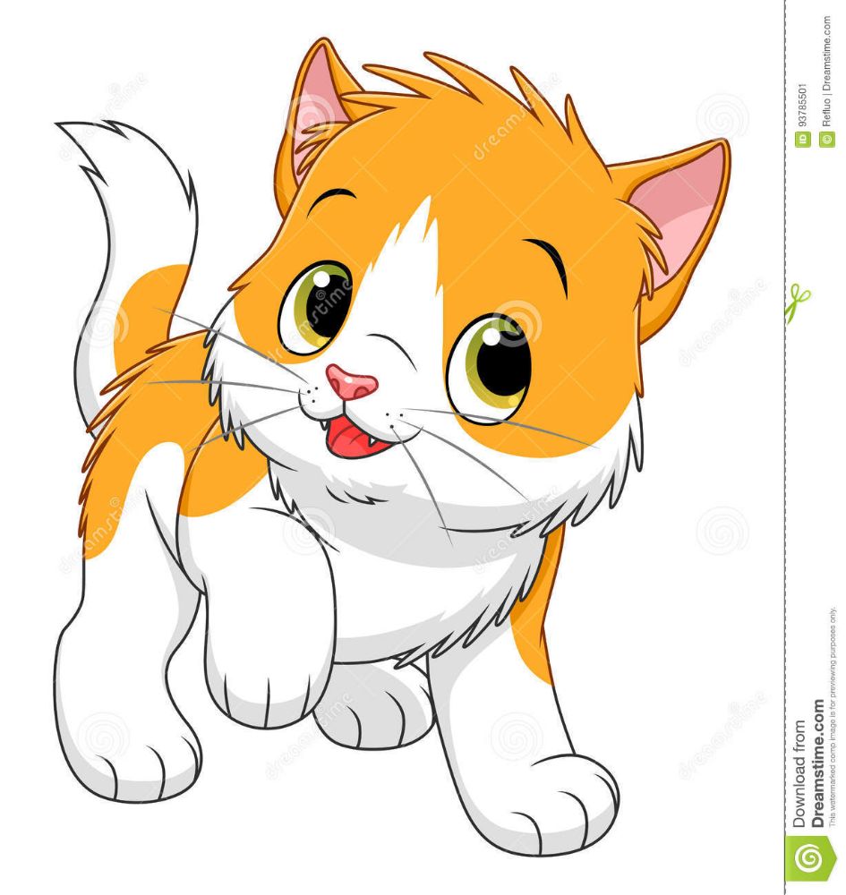 Download 70000+ royalty free cartoon kitten vector images. Kater kitten gezocht