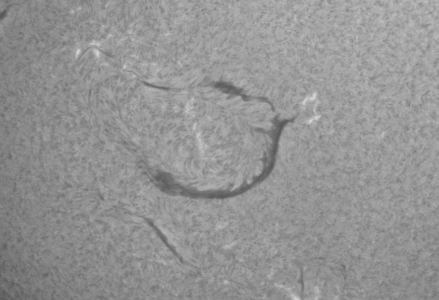 Infrared physics & technology 102 , 103029. ImPPG Processing Tutorial