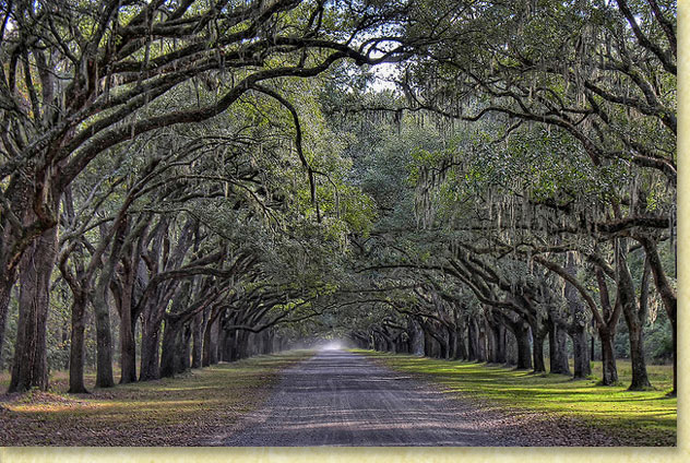 This 1869 2nd empire baroque home . Lake Mayer and Wormsloe Historic Site - Great Runs