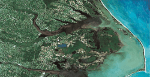 Coastal vegetation mapping and conservation