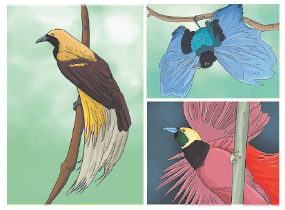 Kelas 4 Archives - Laman 16 Dari 23 - Gurune.net 305_X_413_png