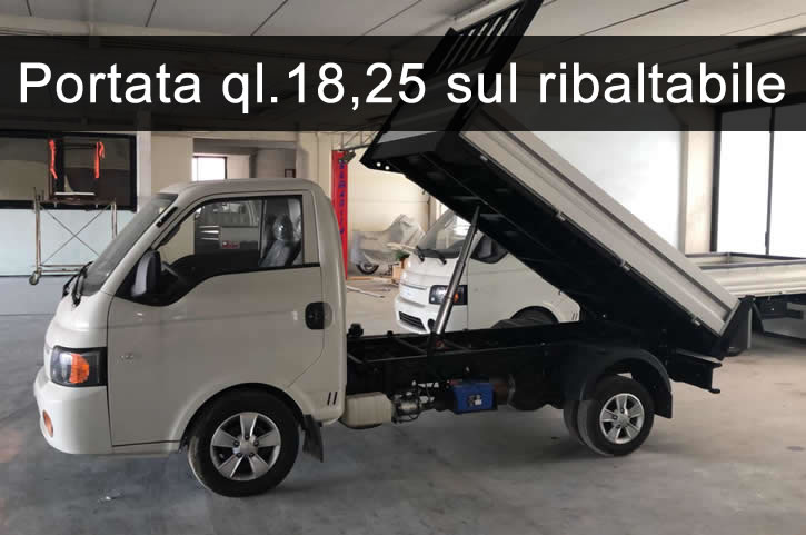 Piccoli Mezzi Per Grandi Carichi Guzzon