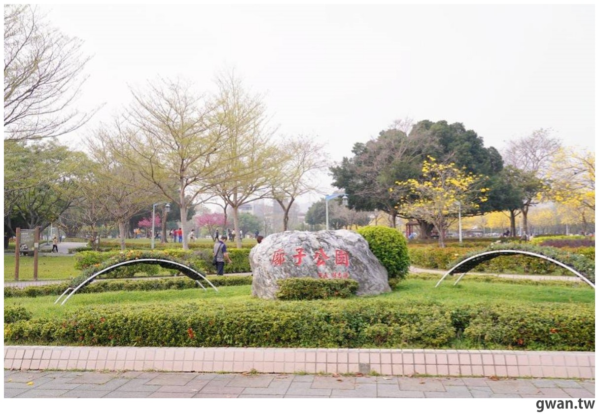 台中最美黃金公園,廍子公園黃花風鈴木盛開中,下黃金雨超浪漫 台中最美黃金公園,廍子公園黃花風鈴木盛開中,下黃金雨超浪漫