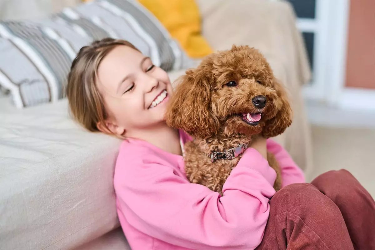 The Magical Bond: How Dogs Understand and Comfort Us