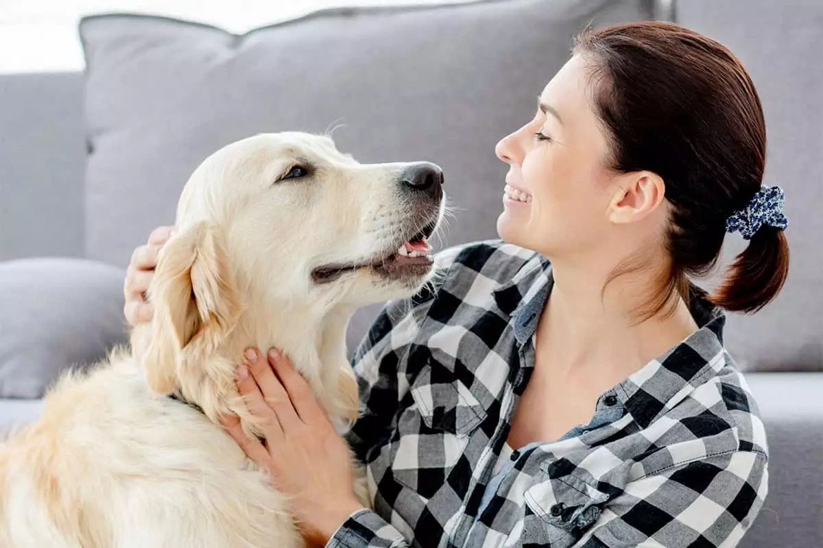 The Unseen Power of Canine Compassion: How Dogs Transform Emotional Healing