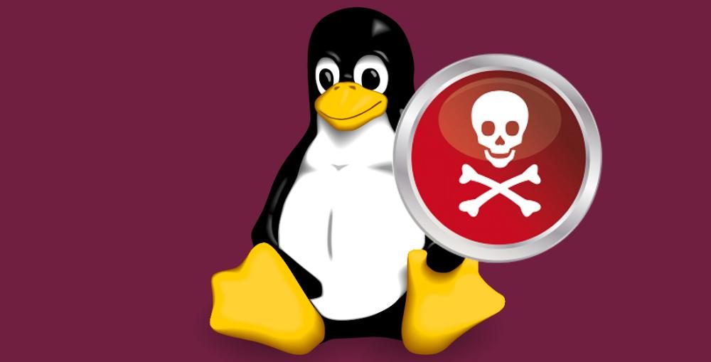 Este nuevo malware para Linux roba las credenciales SSH de ...