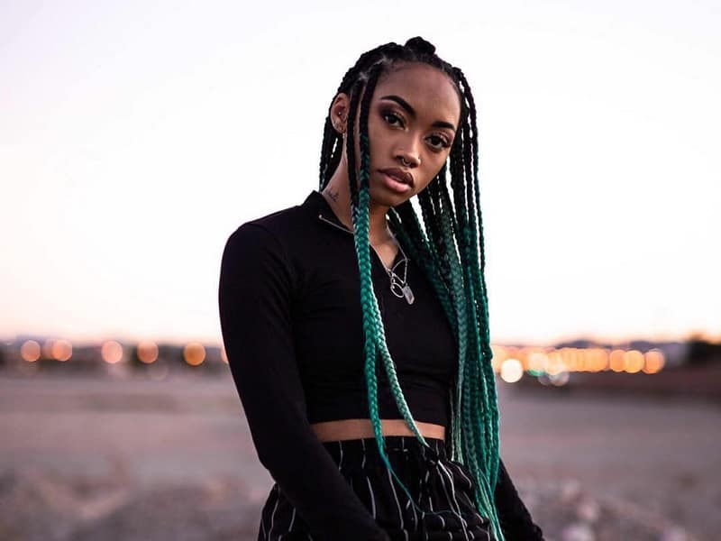 Buy ombre braiding hair (black/brown/blonde 613) 3pcs jumbo braid kanekalon hair extension ombre colors 3tone synthetic braiding hair for box braids senegal . 20 Gorgeous Ombre Braids You Ought To Try 2021 Trends