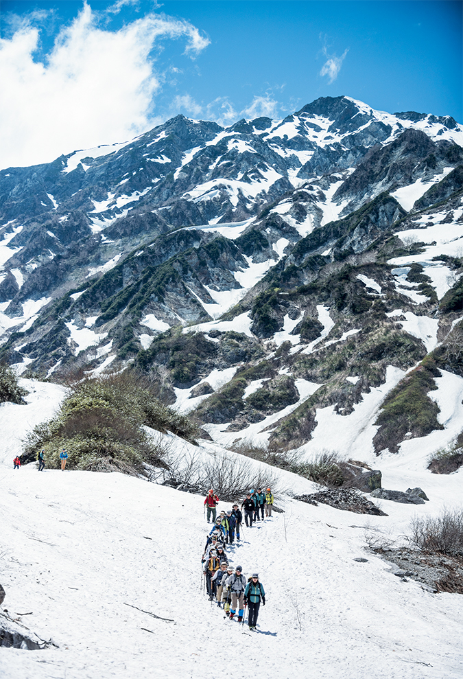 白馬意味 八佰 中的白馬到底意味著什么 Dwfne