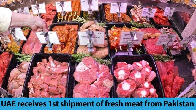 Binary options halal or haram. UAE receives first shipment of fresh halal meat from Pakistan