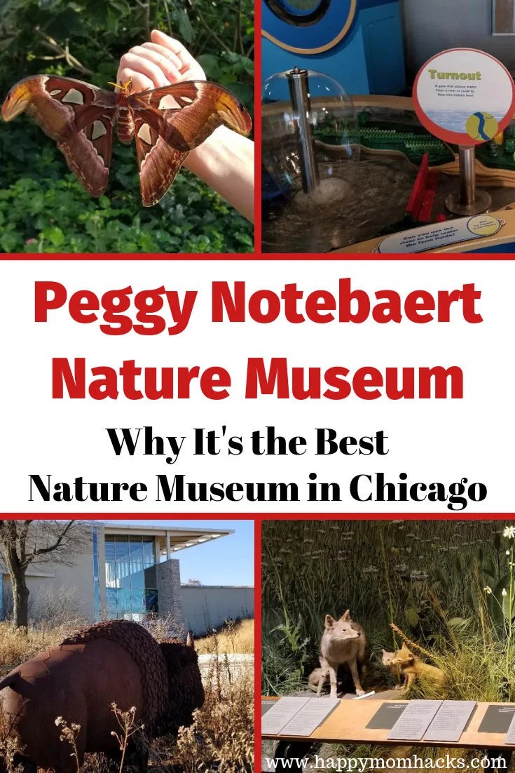 Best Nature Museum in Chicago for Kids. Peggy Notebaert Nature Museum is filled with beautiful buterflies, nature trails, reptiles & play areas. Click through to get all the tips you need for your first visit including parking, where to eat and things to do. #notebaert, #chicago, #naturemuseum, #familytravel, #traveltips