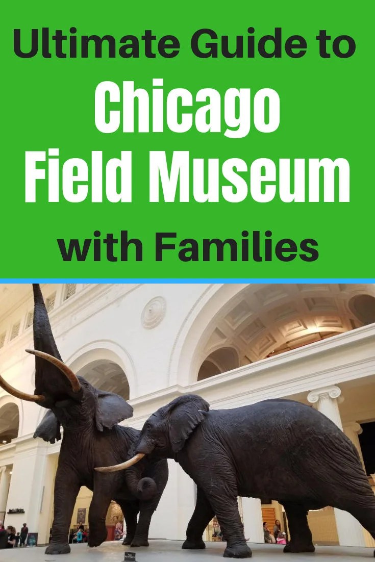 Best Things to do at the Chicago Field Museum of Natural History with kids. All the tips you need to know before you go with your family to this Illinois museum. #fieldmuseum, #chicagomuseum, #traveltips, #familyvacation
