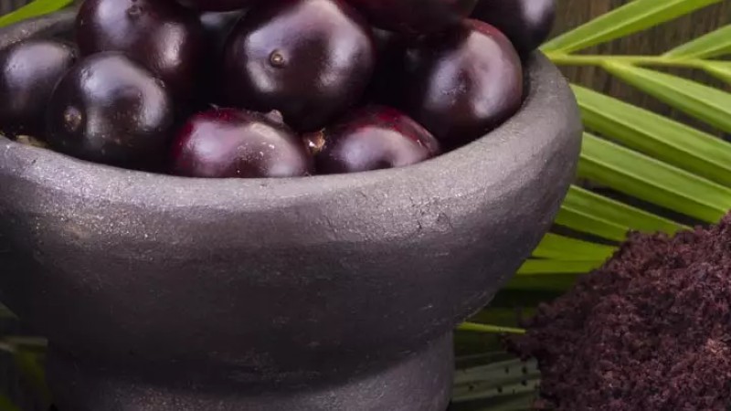 Acai Berry Produksi Natrol Amerika - (Sumber: coachlevi.com)