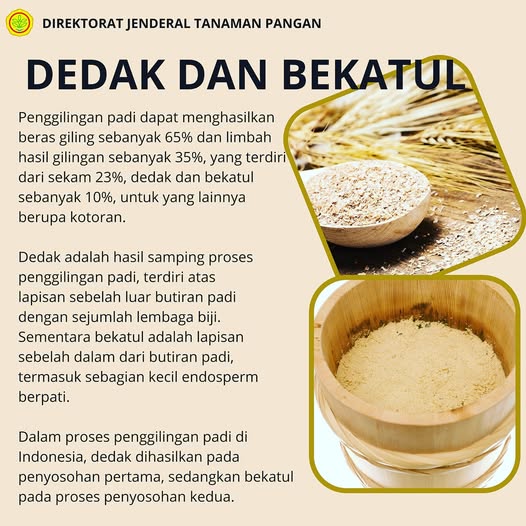 Ilustrasi: Dedak Padi (credit: Sinauternak)