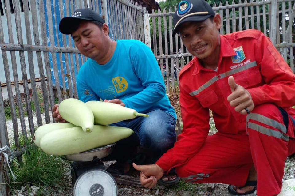 Harga Labu Air Segar (sumber: beingtheparent.com)
