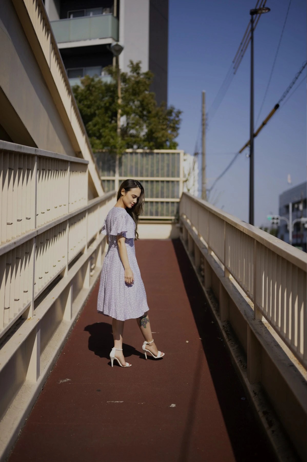 Alice アリス Prestige集「Passion」Set.01