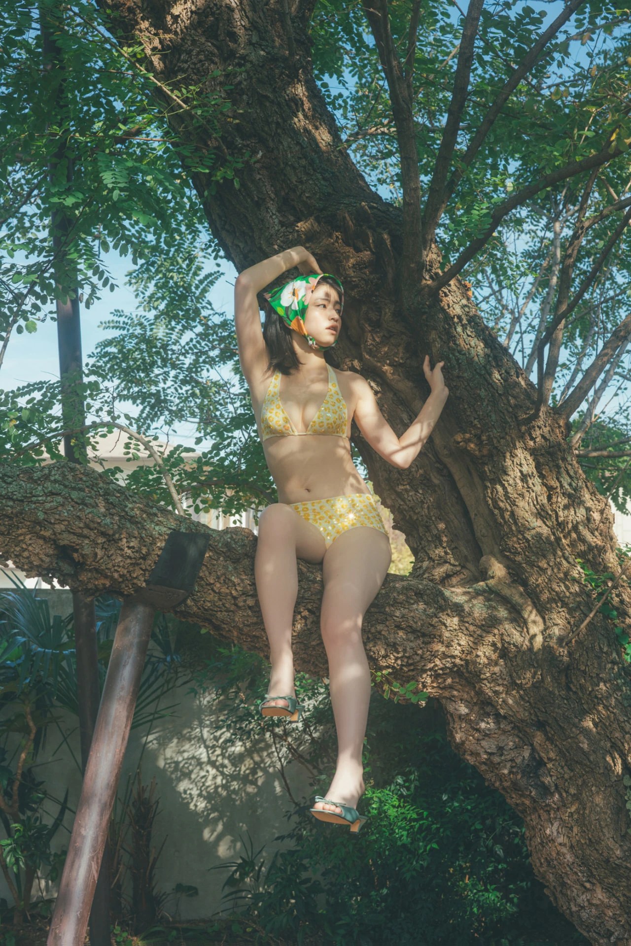 佐々木ほのか集《ほのかと僕のとくべつ時間》第二辑