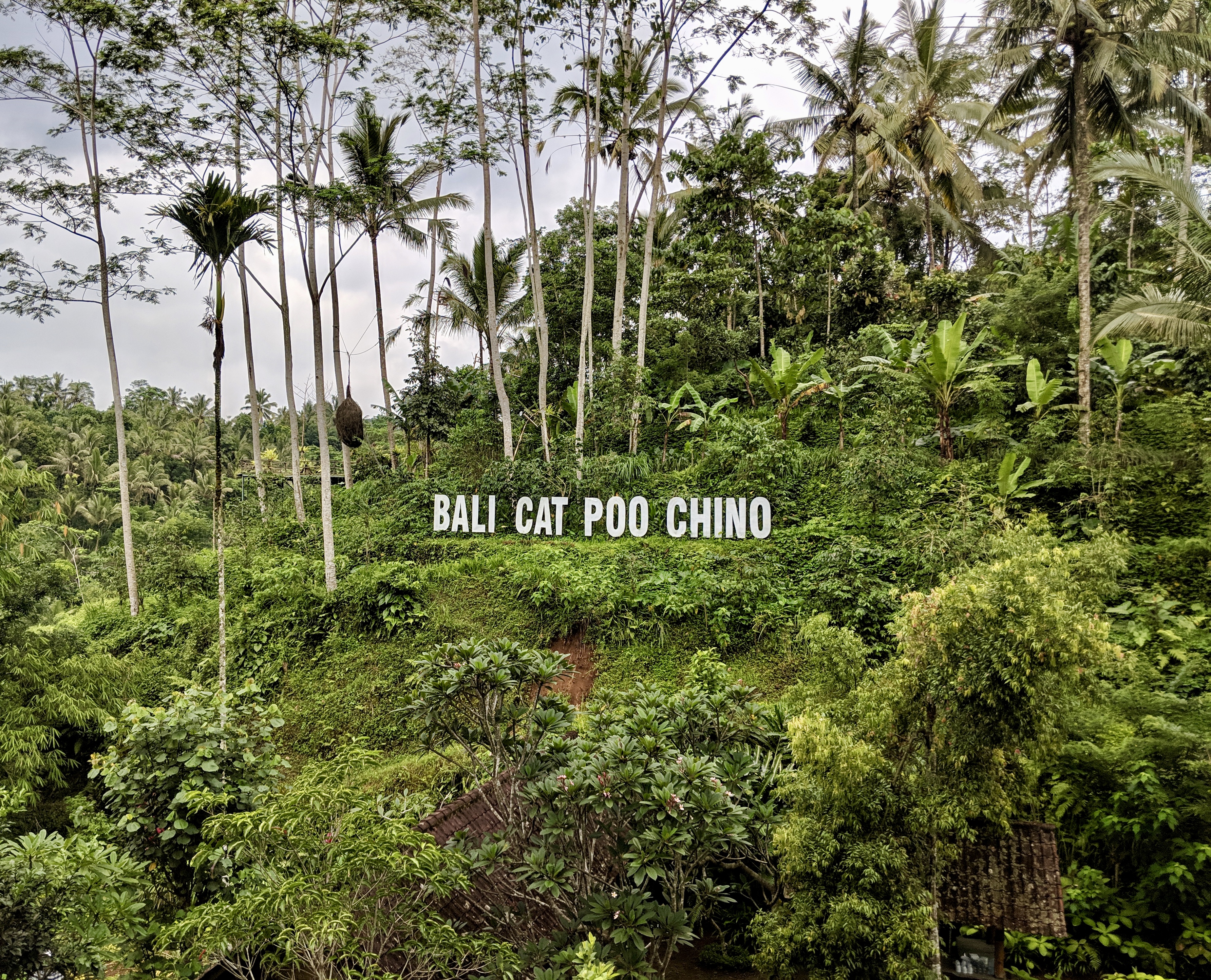 Having a BaliThe Best of Bali TravelSatria Agrowisata ...