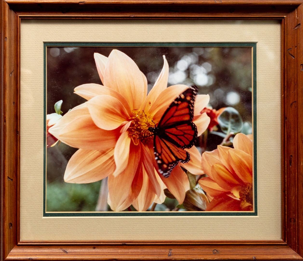 Art Gallery Heights Libraries