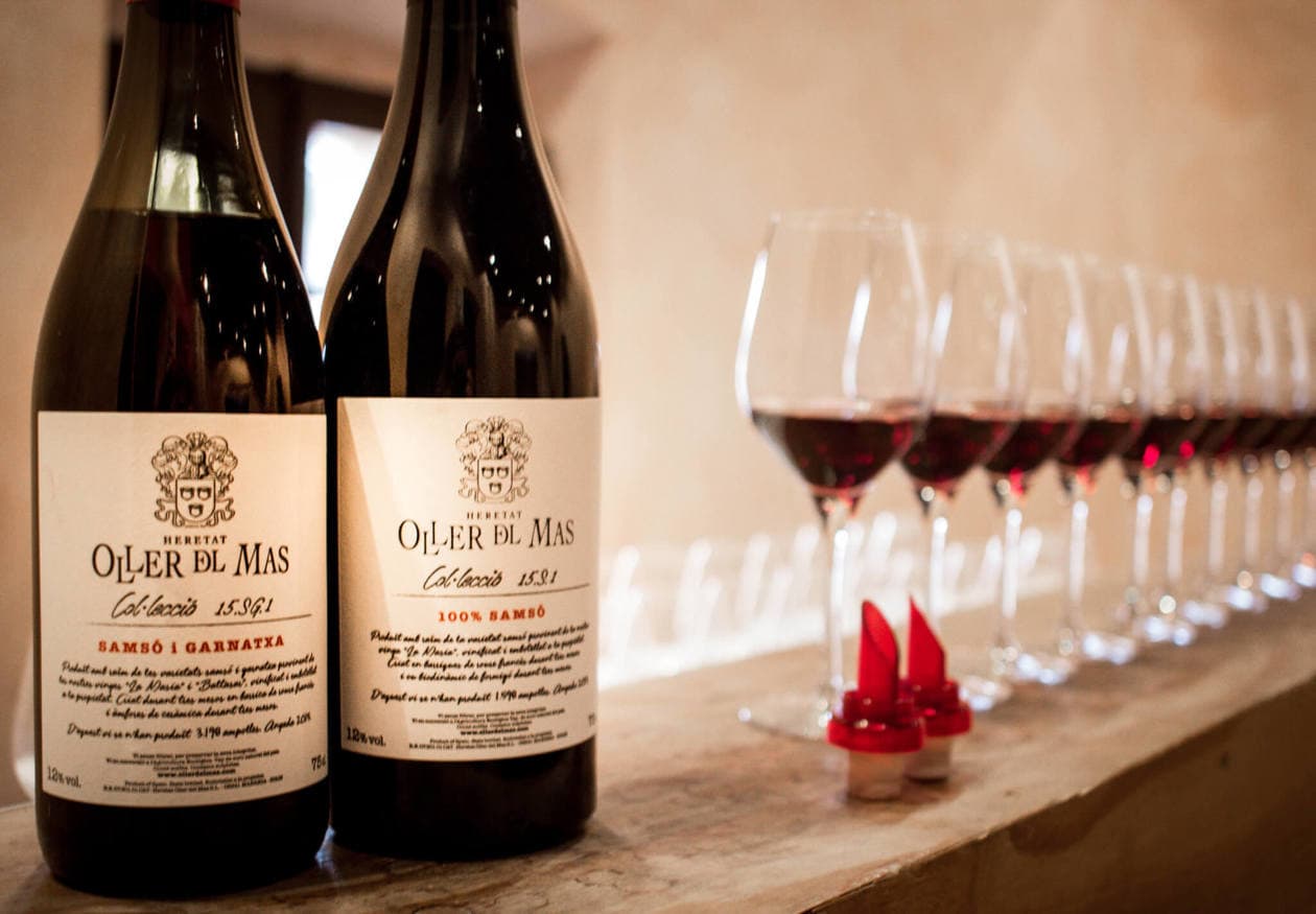 JPG Discover the iconic monastery, enjoy a traditional meal and a wine tasting at a penedes winery. A Day Trip To Montserrat Wine Tasting In Castles With Castlexperience