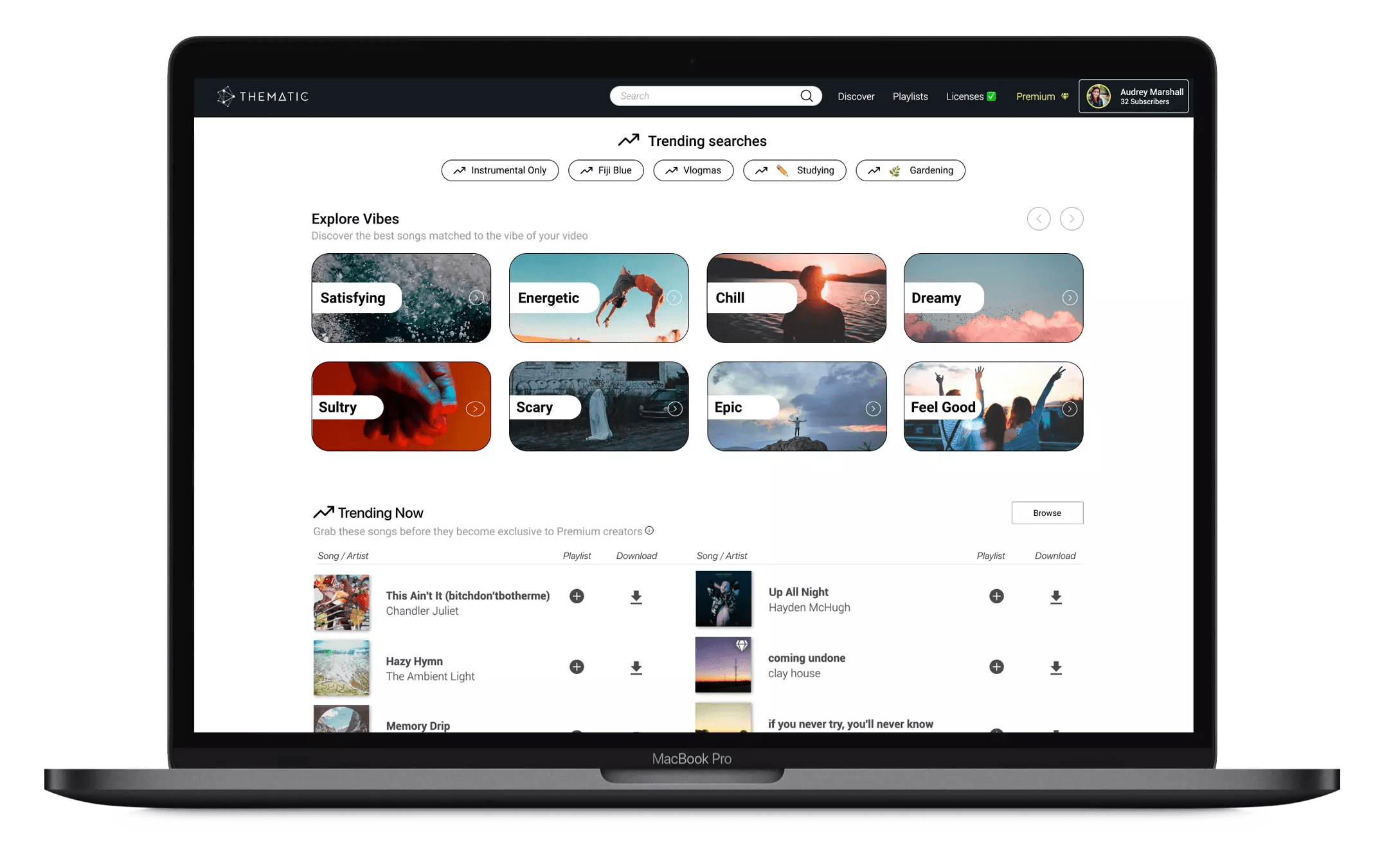 Now in this modern generation, we all are very familiar with youtube. About Thematic Free Music For Youtube Content Creators