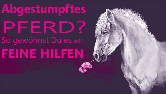Abgestumpftes Pferd? So Gewöhnst Du Es Wieder An Feine Hilfen! - Herzenspferd 360_x_634_jpg