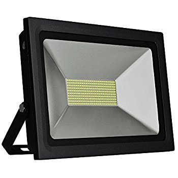 That's why the national flood ins. 20wts Flood Light Hexorion