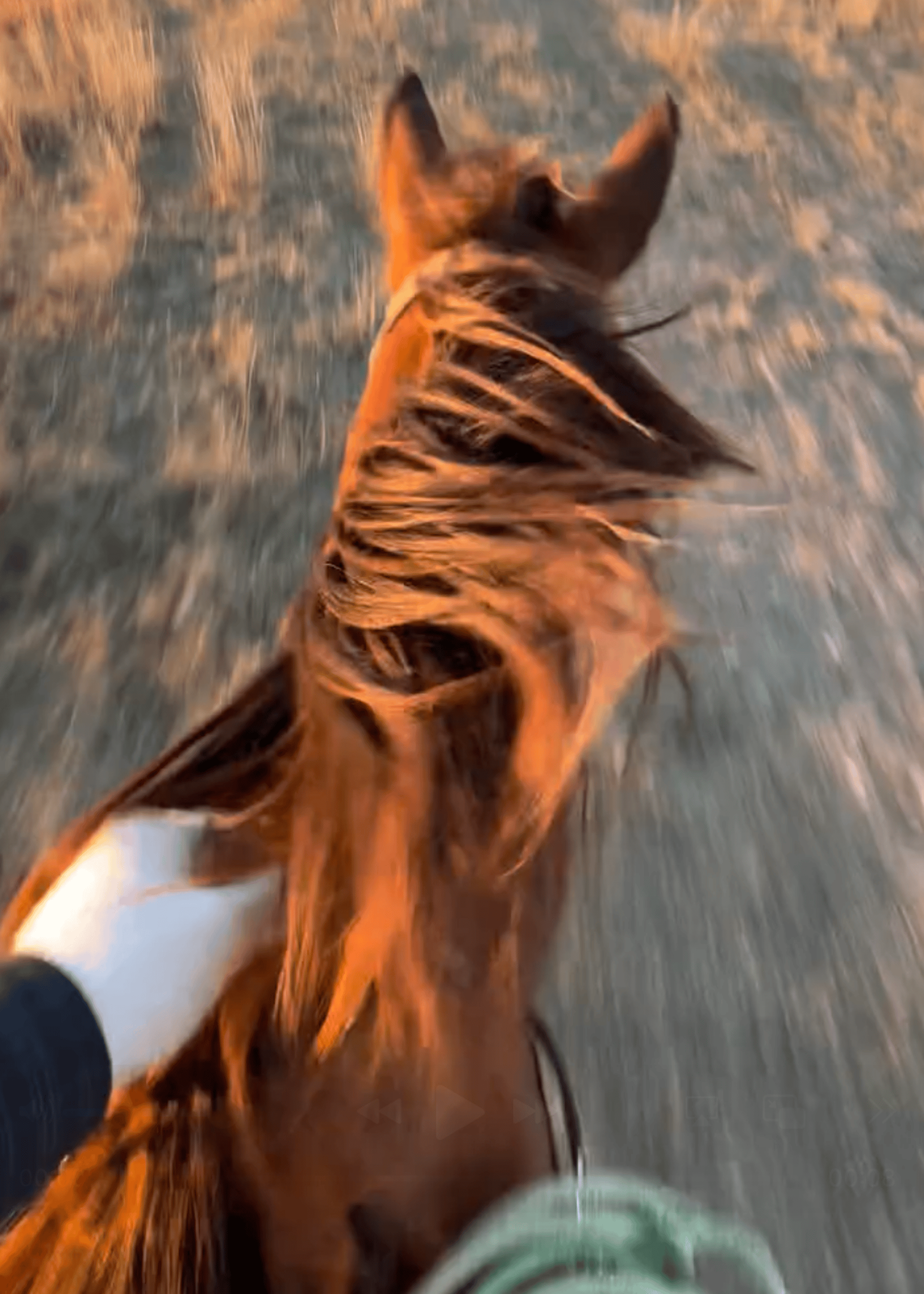 Bryce Drummond Shares Rare Glimpse of Life on the Family Ranch