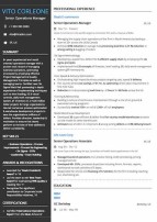 Rising star resumes · 4. Supply Chain Manager Resume Sample by Hiration