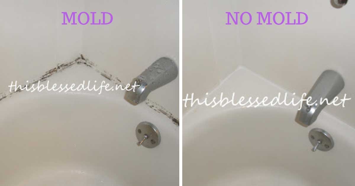 The dap products shrink and . The Easiest Way To Remove Mold And Mildew Stains From
