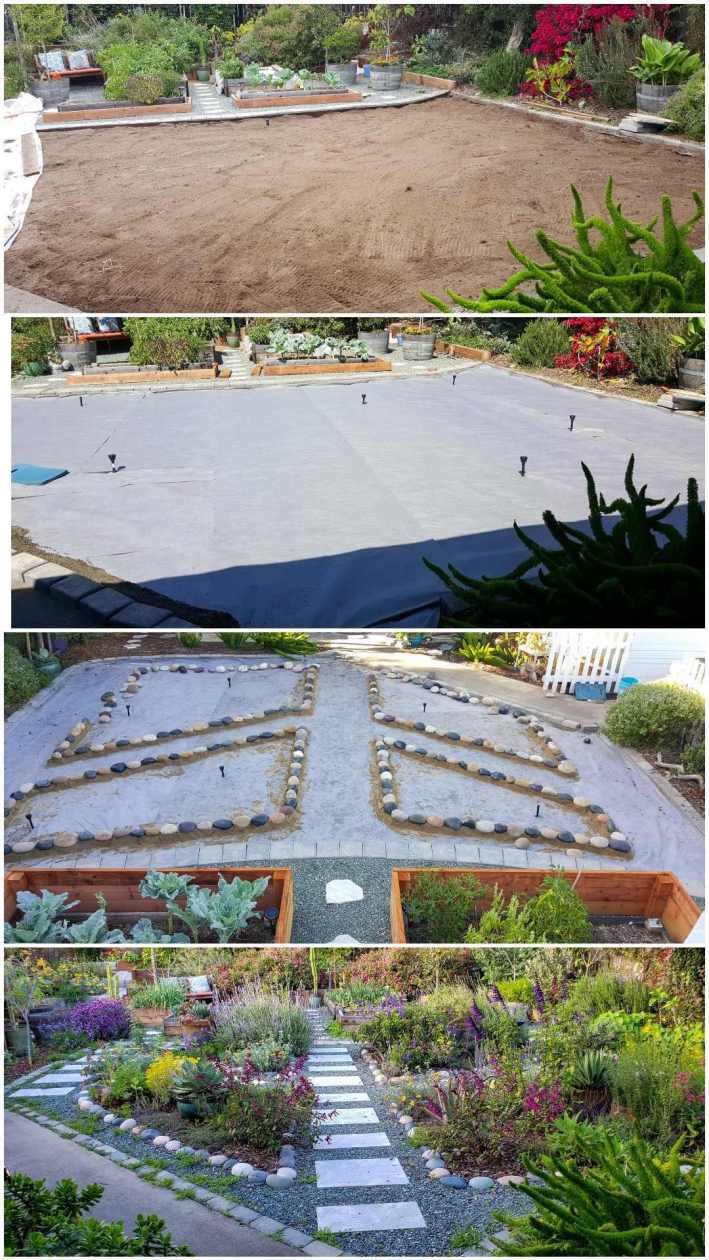 A four way image collage showing the front yard space after lawn removal. The first image shows the front yard after the grass was completely removed, there is only bare dirt left behind. The second image shows the same area after landscape fabric has been installed over the dirt and there are irrigation manifolds sticking up in specific locations for future watering of plants. The third image shows the same area after four planting areas or "island" have been lined with cobblestone. The final image shows the area after it has been finished. There are many flowering plants and vegetables growing in many areas amongst green rock gravel and paver lined pathways.