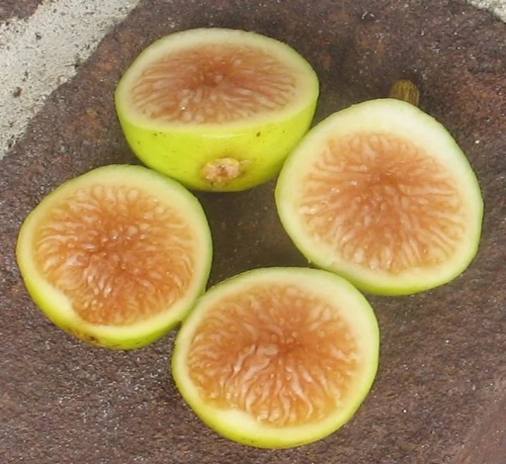 Quattro metà di fichi hanno la loro polpa dorata rosea rivolta verso l'alto. La loro pelle da verde chiaro a gialla è visibile lungo i loro lati.