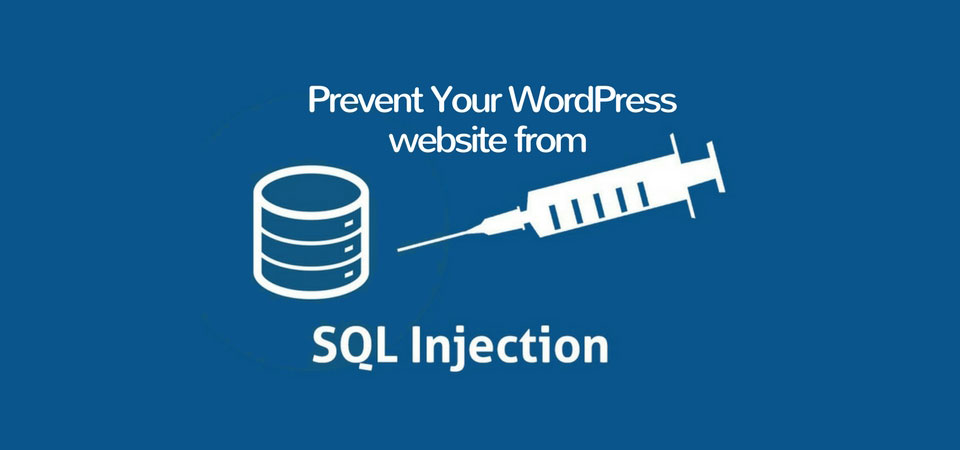 How hackers breach the wordpress database. How To Prevent Your Wordpress Website From Sql Injection Hotthemes