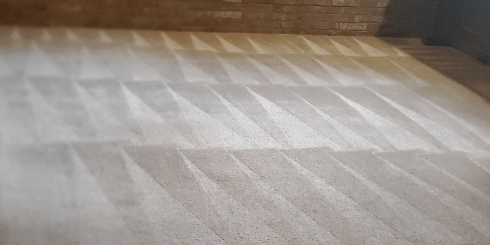 · j & c carpet care. Clean And Dry