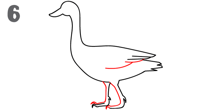 Today we present a new drawing lesson in which we will focus on how to draw a goose. How To Draw A Goose Step By Step