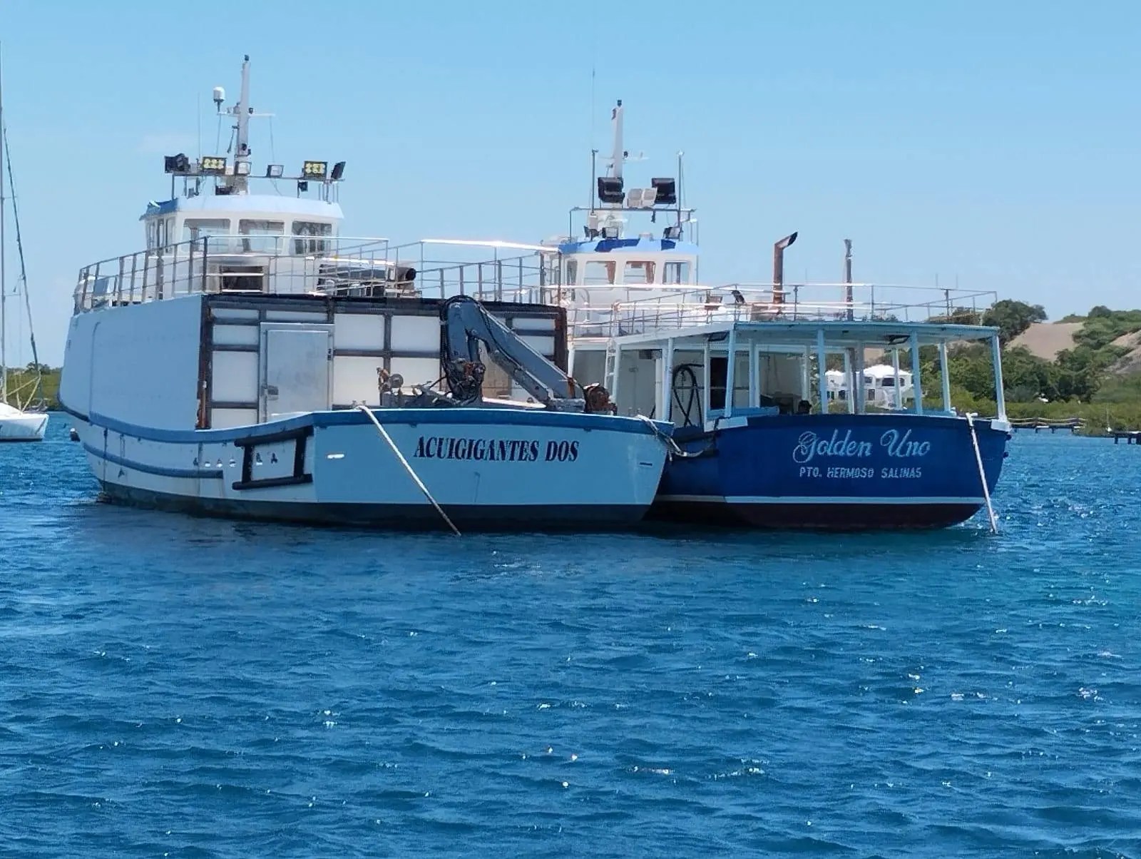 Intervienen 1,680 kilos de cocaína en velero procedente de Sudamérica; red tendría nexos con República Dominicana Intervienen 1,680 kilos de cocaína en velero procedente de Sudamérica; red tendría nexos con República Dominicana