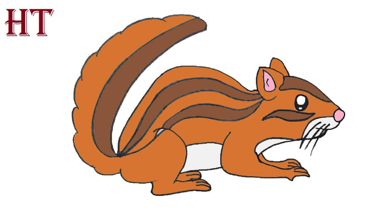 Cartoon chipmunk sitting drawingby cthoman1/5 vector illustration . How To Draw A Chipmunk Step By Step