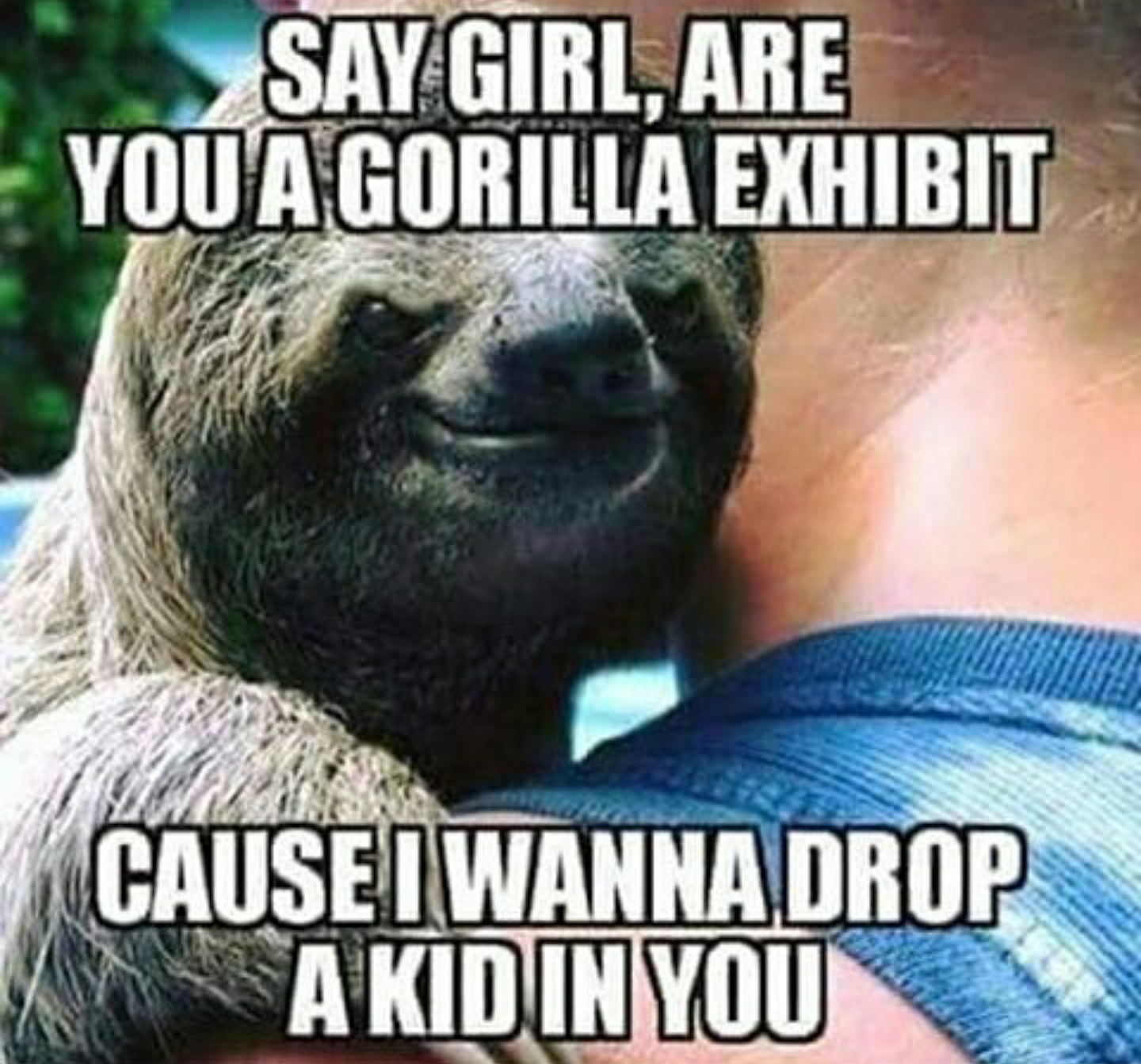 A massive collection of short, funny jokes that are guaranteed to make you laugh. roasted