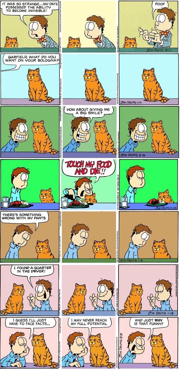 As it turns out, a lot of your pet's. Garfield irl
