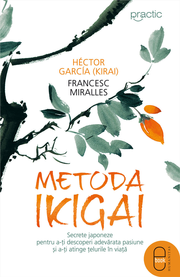 Metoda Ikigai