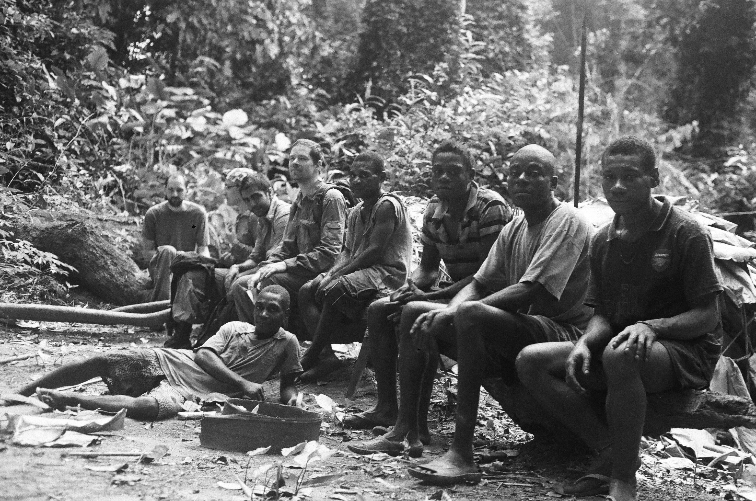 Think of rainforests and the picture is inevitably one of a dark and forbidding realm where life is abundant, yet alarmingly cryptic. A Day In The Life In The Congo Rainforest A Human View