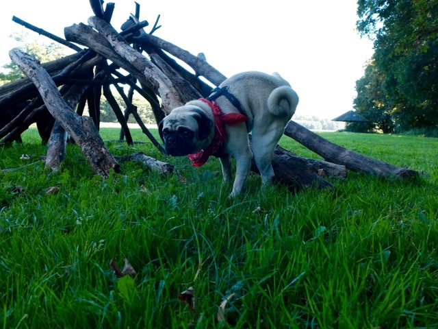 Falls ihr euch bei #alliterationamarsch schon immer mal gefragt habt, warum ihr otto im hintergrund schnaufen hört.genau deswegen ich liebe den&nbsp;. Bastian Bielendorfer Deutschlands Bekanntestes Lehrerkind Hunderunden