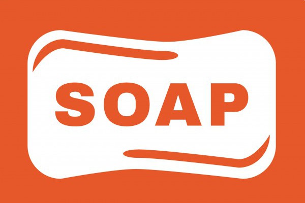 Soap programming. Soap сервис. soap api. soap api лого. soap язык программирования.