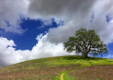 Dragon's rest cabins & lodging affordable cabins and vacation rental on tallulah creek. 3 Hikes In LA That Aren't Runyon - CORE Hydration