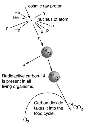 Kakao dating site dating does mean radiometric what, dating fermanagh. Carbon Dating