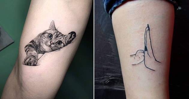 Daily Squee - Cute Animals - Cute Baby Animals - Cute Animal Pictures - Animal Gifs - Gif Animals 330_x_630_jpg